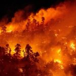 Pilot Resources for Aerial Wildland Firefighting